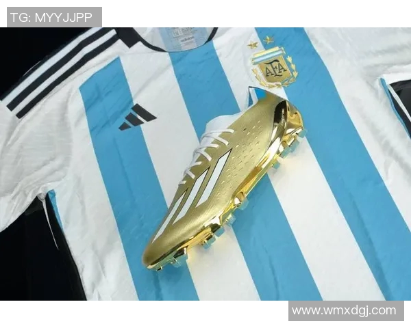 梅西足球鞋历经传奇球星脚下风采见证他们的辉煌与荣耀