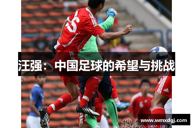汪强：中国足球的希望与挑战