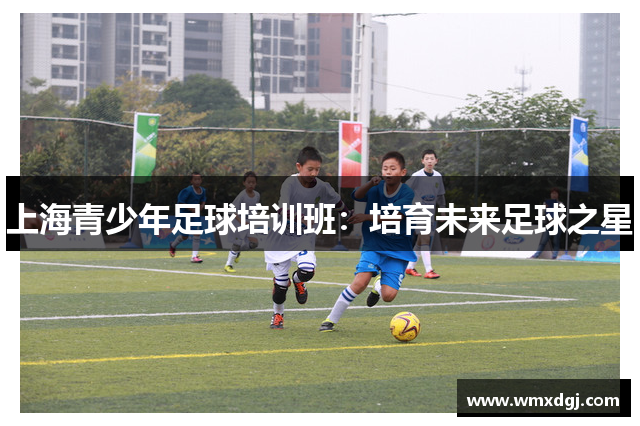 上海青少年足球培训班：培育未来足球之星