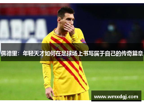佩德里：年轻天才如何在足球场上书写属于自己的传奇篇章
