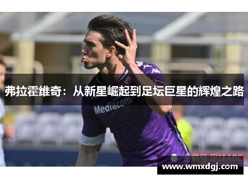 弗拉霍维奇：从新星崛起到足坛巨星的辉煌之路